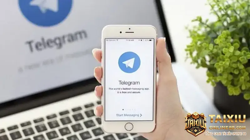 Lien He Telegram (1)